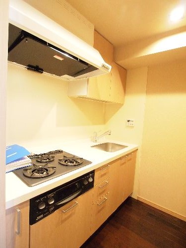 エスティメゾン銀座 1007号-7