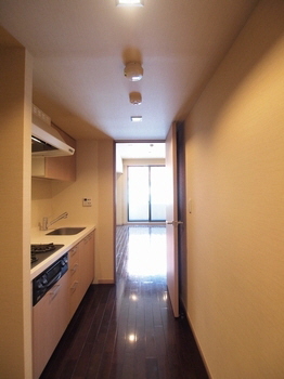 エスティメゾン銀座 1103号-5