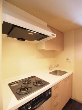 エスティメゾン銀座 1103号-6