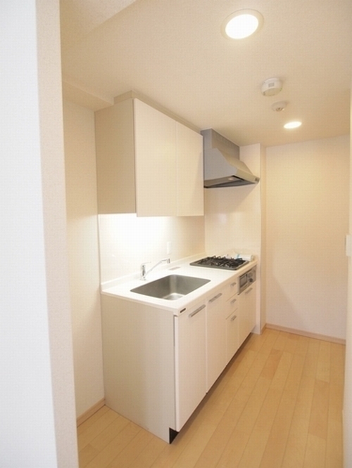 エスティメゾン北新宿 204号-5