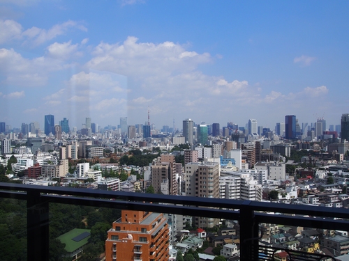 プライムメゾン白金台タワー 2304号-11