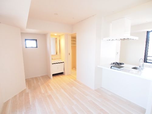 プライムメゾン本郷 505号-3