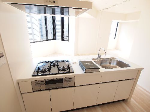 プライムメゾン本郷 803号-6