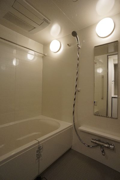 プライムメゾン江古田の杜ウェスト 305号-9