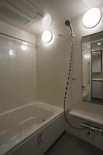 プライムメゾン江古田の杜ウェスト 407号-9