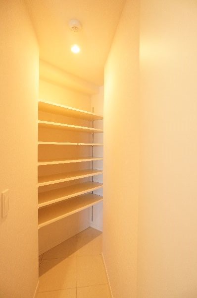 プライムメゾン江古田の杜イースト 312号-11