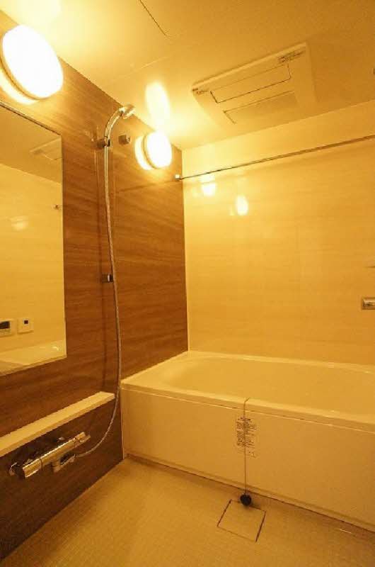 プライムメゾン江古田の杜イースト 401号-9