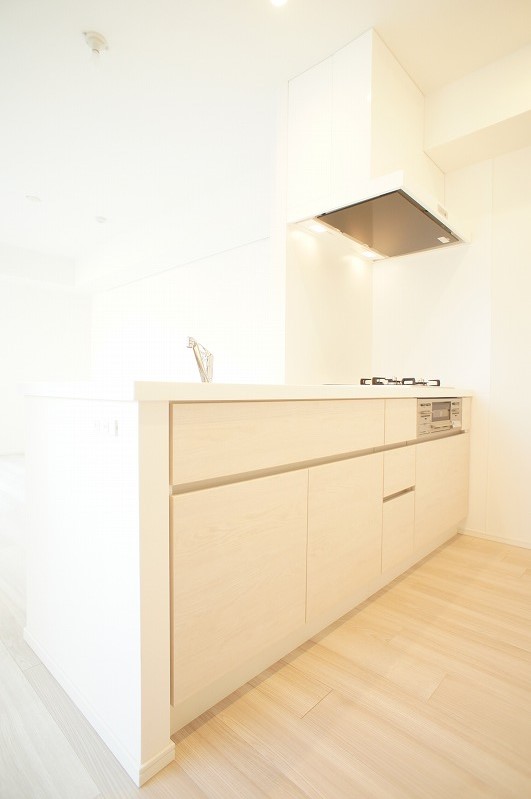 プライムメゾン蔵前 1203号-4