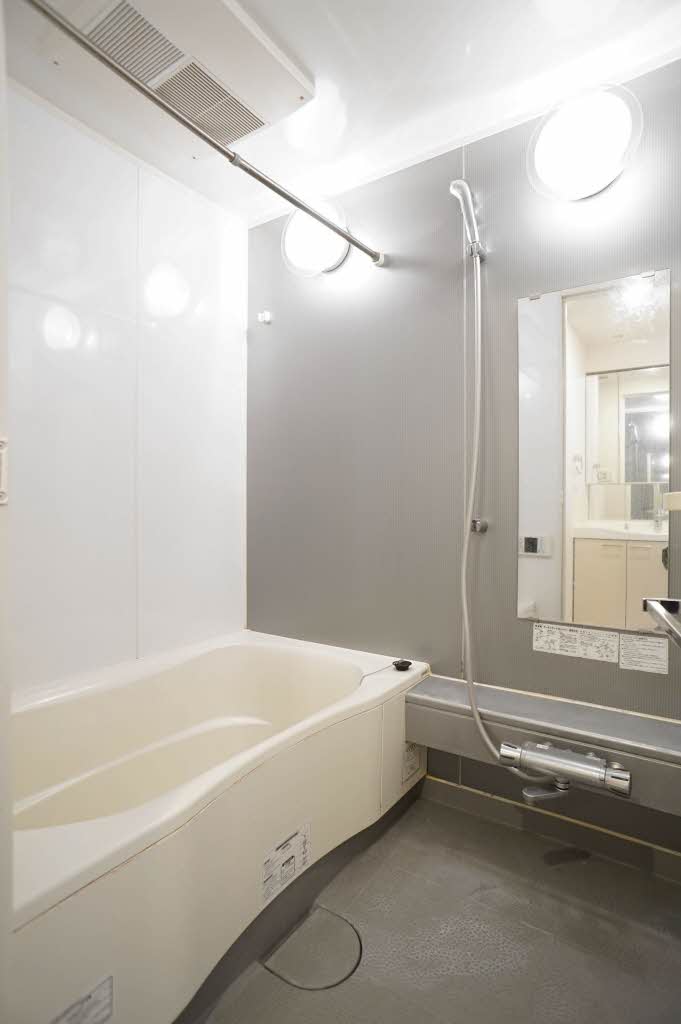 エスティメゾン川崎Ⅱ 1205号-10