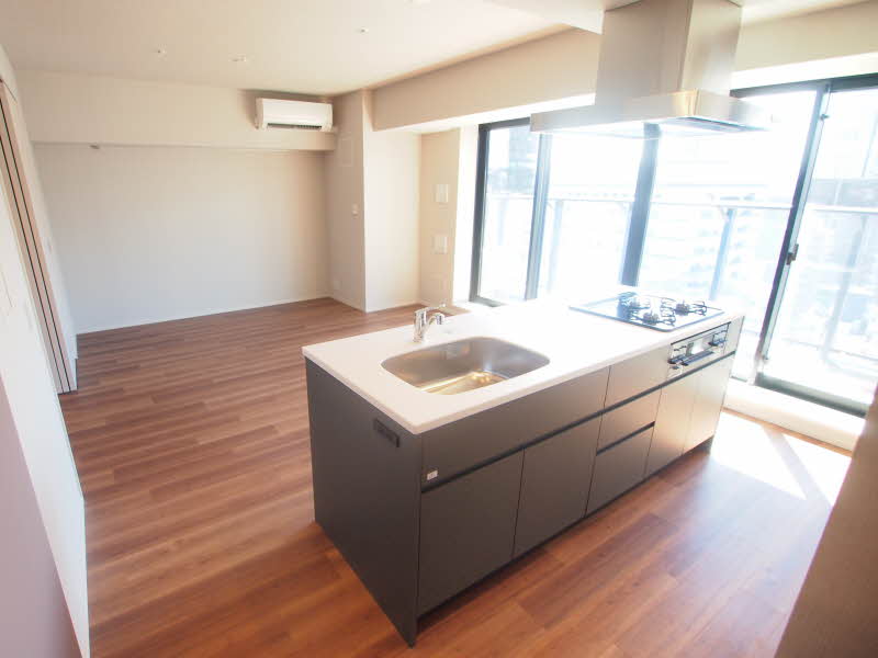 プライム新橋タワー 1001号-8