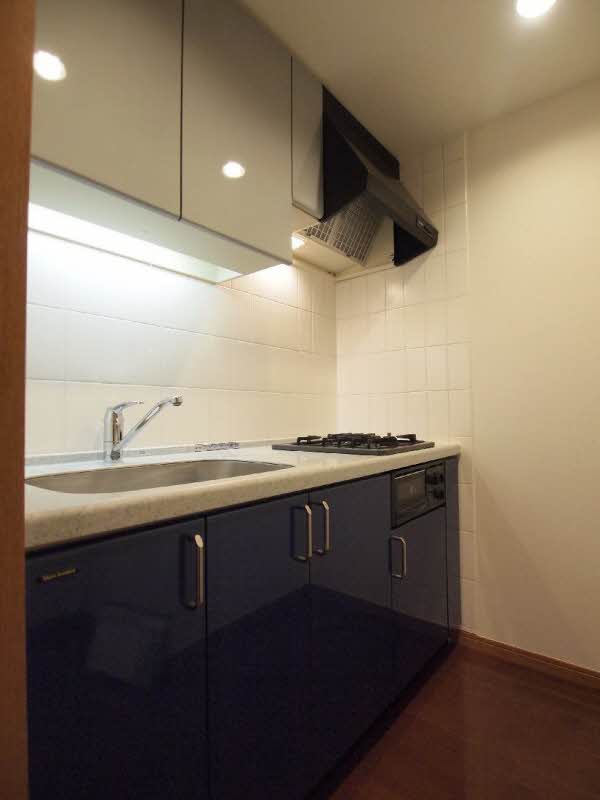 レジデンスシャルマン月島 306号-10