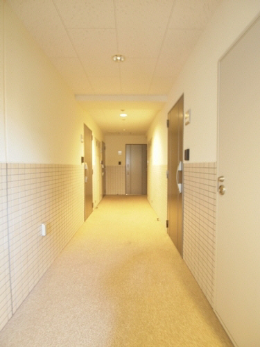 レジデンスシャルマンプレデュフルーブ 304号-10