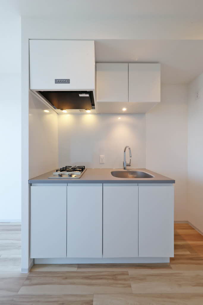 プライムメゾン西新宿 907号-6