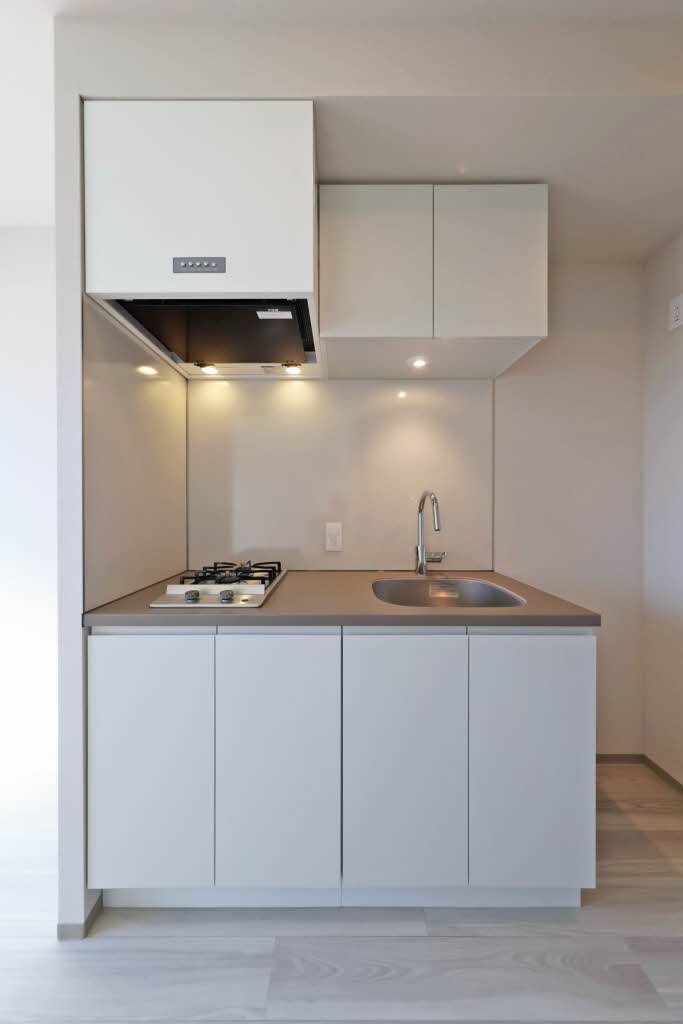 プライムメゾン西新宿 1007号-6