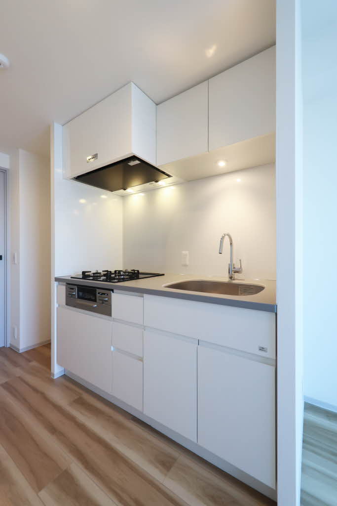 プライムメゾン西新宿 1101号-6