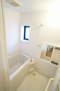 ラフォーレ　ハピネスＢ 101号-9