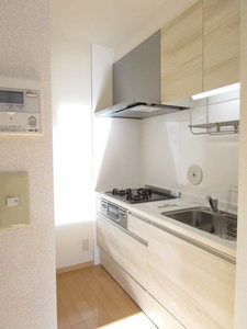 メイプルハイツ　Ｄ 101号-4