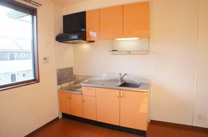 ストローハットＣ 201号-3