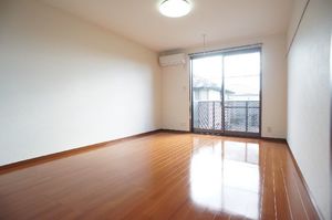 ＹＨプレシャスⅠ 203号-3