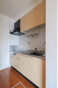 サザンシュロスⅢＢ 101号-7