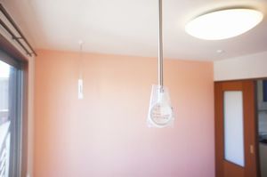 マスコットハイツ 201号-9