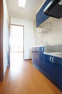 ブライトン6 203号-8