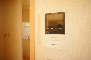 ダンフローラ 101号-11