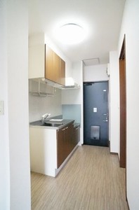 Ｃｉｅｌ　Ｓａｉｓｏｎ　Ｂ 205号-11