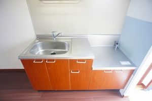 ラ フェスタ 202号-3