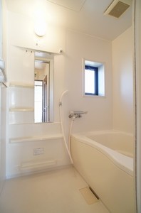 ブライトリーフＡ 101号-8