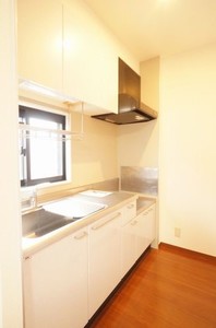 フラットリベラC 102号-5