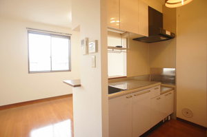 アルタイルＣ 201号-11