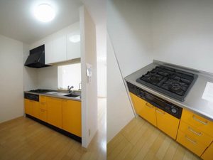 デルフィオーレB 202号-5