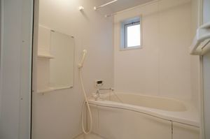 コスモスB 101号-8