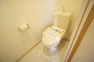 ルミエール 202号-10