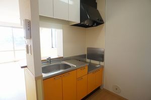ディオール INADA 206号-5