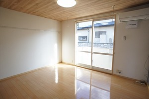 ＳｈａＭａｉｓｏｎ　Ｖｉａ　Ｌａｔｔｅａ 102号-3