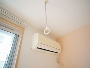 ＳｈａＭａｉｓｏｎ　Ｖｉａ　Ｌａｔｔｅａ 103号-5