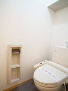 ＳｈａＭａｉｓｏｎ　Ｖｉａ　Ｌａｔｔｅａ 103号-9