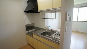 ウィステリアガーデン 203号-3