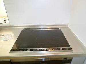 ラフィネ・Ｋ 203号-5
