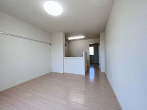 メゾン ド フェリス 203号-3