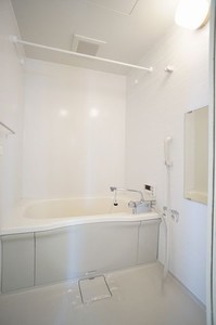 シャーメゾン・ＭＳ 201号-8