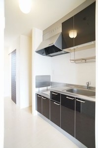 ラッ・フィナートＫ 202号-4