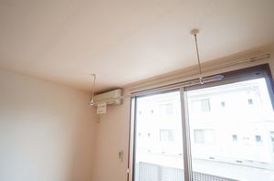 ホワイトホースⅡ 103号-11