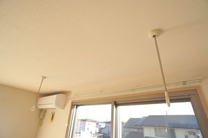アンブル 202号-10