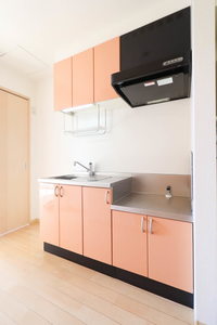 ヴェルマノワール 205号-5