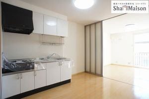 シャルマンＦ 203号-3