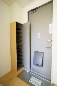 ジナンドモルフＤ 202号-8