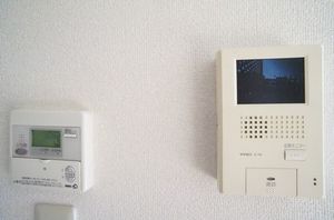 ジナンドモルフＡ 201号-10